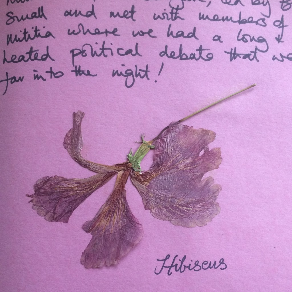 Cropped photograph of Jean Tate's scrapbook from the 1980 trip to Grenada. Features handwritten notes about meeting members of the militia and pressed hibiscus flower. 
